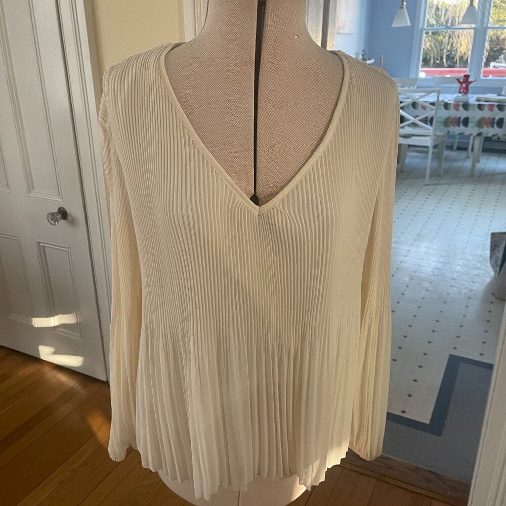 Balloon sleeved blouse with Pleats